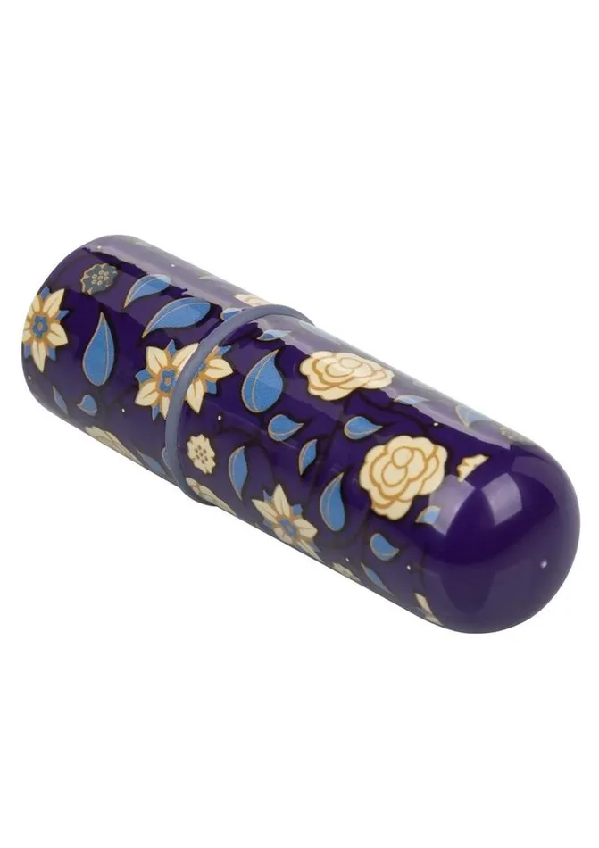 Naughty Bits Naughty Bits Just The Tip Bullet Vibrator Female Sex Toys