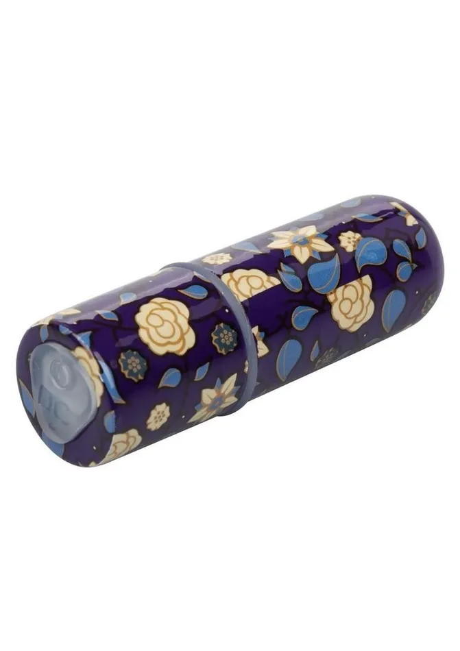 Naughty Bits Naughty Bits Just The Tip Bullet Vibrator Female Sex Toys